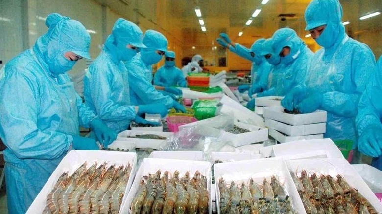 Mặt hàng tỷ đô dưới nước của Việt Nam bứt tốc xuất khẩu sang Mỹ, cạnh tranh trực tiếp với hàng Trung Quốc