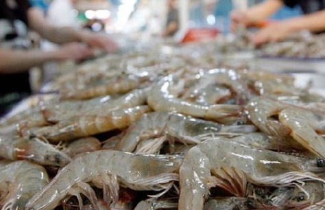 'Siêu thực phẩm' Việt được Trung Quốc đặc biệt ưa chuộng: Xuất khẩu tăng mạnh 125%, nhưng Mỹ mới là thị trường 'chịu chi' nhất