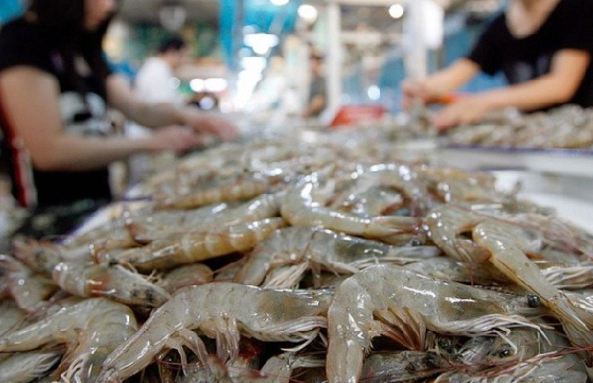 'Siêu thực phẩm' Việt được Trung Quốc đặc biệt ưa chuộng: Xuất khẩu tăng mạnh 125%, nhưng Mỹ mới là thị trường 'chịu chi' nhất