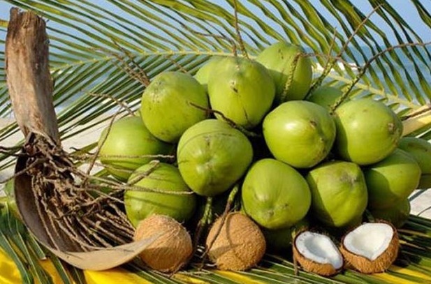 Giá loại quả khác biệt nhất lập đỉnh lịch sử, Việt Nam đặt mục tiêu xuất khẩu cán mốc 1 tỷ USD