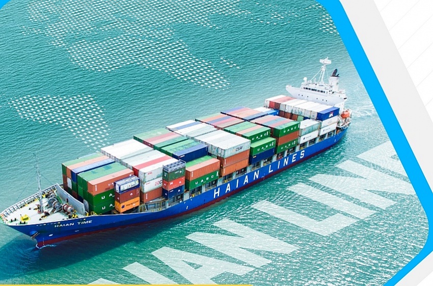 Doanh nghiệp mua 350 vỏ container từ Hòa Phát: Cổ phiếu lập đỉnh, giá tăng gần 600%