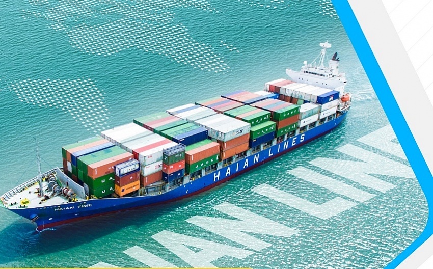 Doanh nghiệp mua 350 vỏ container từ Hòa Phát: Cổ phiếu lập đỉnh, giá tăng gần 600%