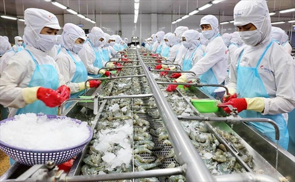 Xuất khẩu thủy sản bùng nổ, cá ao làng của Việt Nam thu cả triệu đô