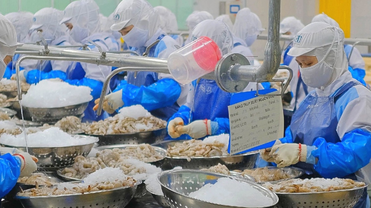 Ông lớn ngành tôm Việt Nam đón tin vui ngay trước giờ đàm phán thuế quan với Mỹ