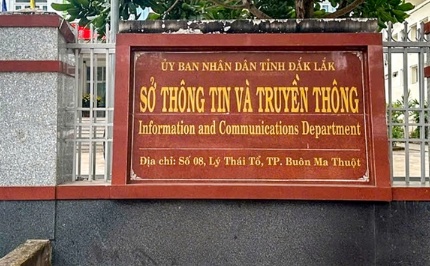Nghỉ hưu trước tuổi, nguyên Giám đốc sở tại một tỉnh nhận hỗ trợ hơn 2,2 tỷ đồng