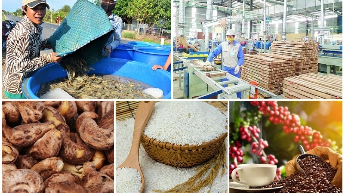 Không phải gạo hay tôm: Đây mới là 'vua nông sản Việt', thu về 3,8 tỷ USD trong 4 tháng