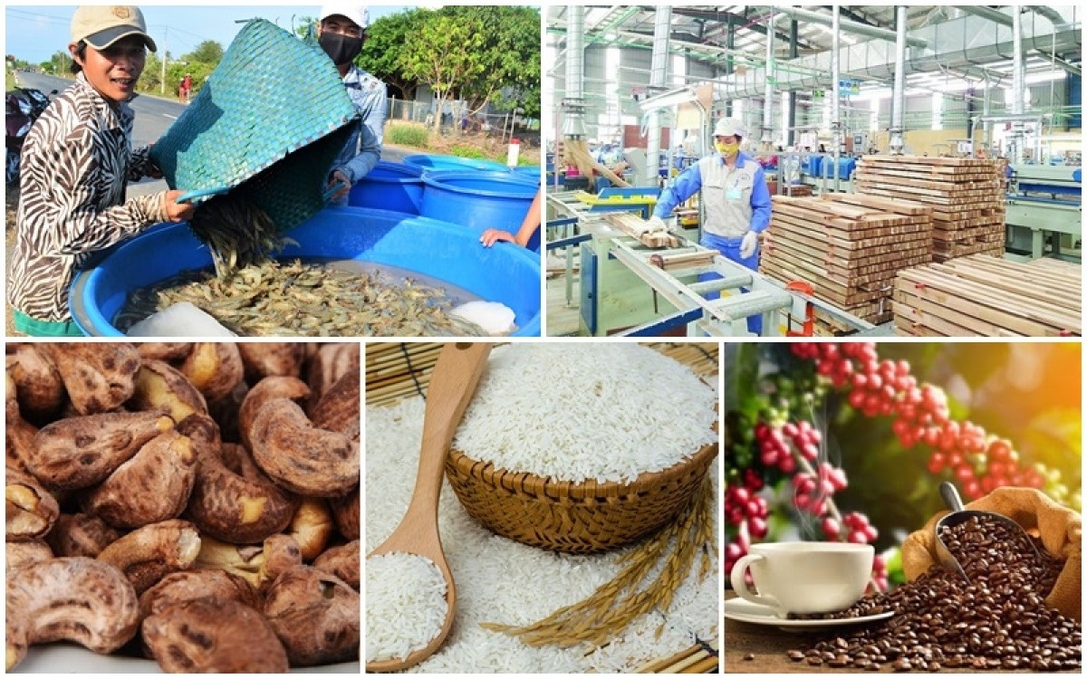 Không phải gạo hay tôm: Đây mới là 'vua nông sản Việt', thu về 3,8 tỷ USD trong 4 tháng