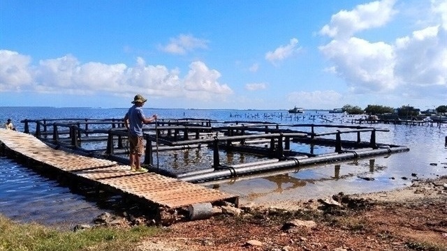 Việt Nam mang kho báu thủy sản sang nước bạn Cuba, dự án thành công thần tốc sau 4 tháng
