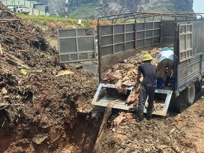 Gần 5 tấn da trâu, bò bẩn không rõ nguồn gốc bị chặn đứng tại Thanh Hoá