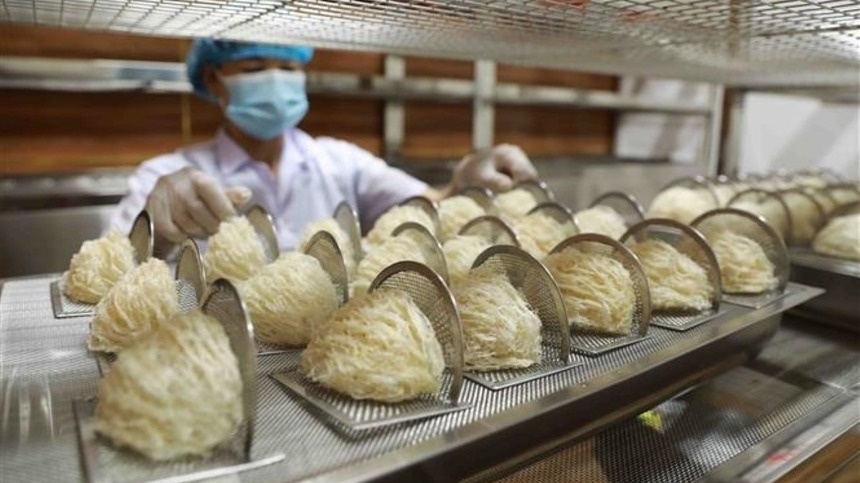 Xuất khẩu nhỏ giọt, tổ yến Việt gặp thêm rào cản mới trên đường sang Trung Quốc