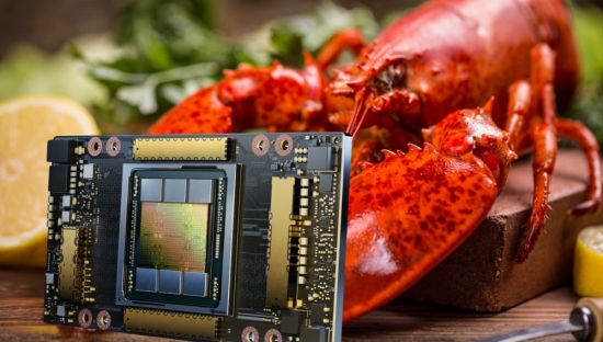 Tôm hùm 'cõng' chip AI: Thủ đoạn tuồn GPU vào Trung Quốc khiến nhiều người sửng sốt