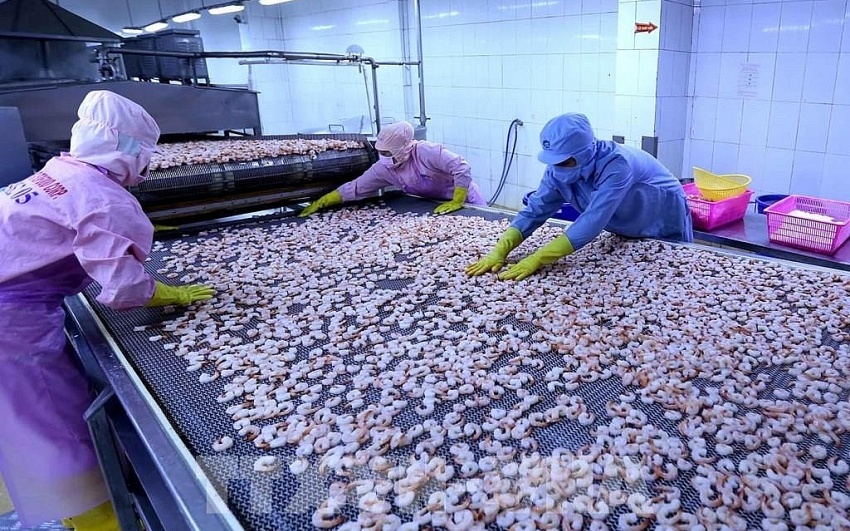Doanh nghiệp thủy sản 12.600 nhân sự lãi quý trở lại, xuất khẩu trăm triệu USD sang Mỹ, EU, Nhật, Úc...