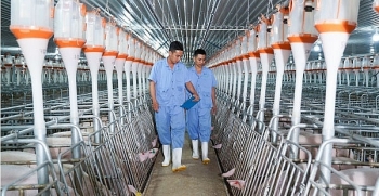 Tháng 4 bùng nổ, lãnh đạo BAF tự tin với thương hiệu thịt sạch 'không lo như ăn lòng se điếu'