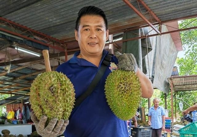 Xuất hiện giống sầu riêng vua chúa, giá gần 800.000 đồng/kg, cạnh tranh sòng phẳng với sầu Việt