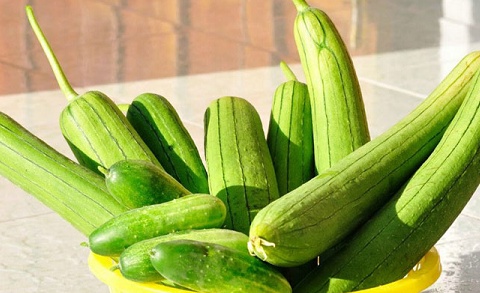 Loại quả được ví như 'nhân sâm của người nghèo', giá rẻ, bán chạy khắp chợ Việt vào mùa hè