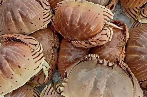 Đặc sản có tên 'độc lạ', xưa ít ai biết nay được săn đón khắp nơi vì hương vị lạ, giá tới 100.000 đồng/kg