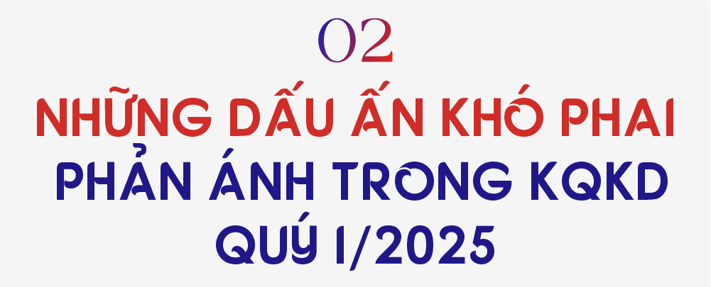 Đột phá hậu ĐHCĐ 2025: Dấu ấn HD Financial Group, EVNFinance tăng tốc