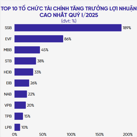 Đột phá hậu ĐHCĐ 2025: Dấu ấn HD Financial Group, EVNFinance tăng tốc