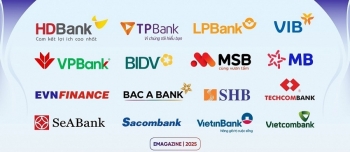 Đột phá hậu ĐHCĐ 2025: Dấu ấn HD Financial Group, EVNFinance tăng tốc