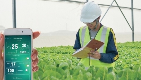 Ngành học không lo thất nghiệp, thị trường luôn khát nhân lực: Ra trường 'hái ra tiền', dễ khởi nghiệp