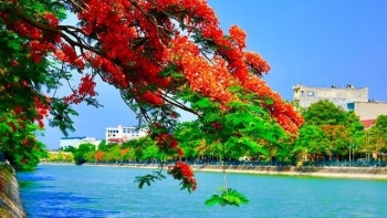 70 năm Ngày giải phóng thành phố và đề xuất quan trọng để Hải Phòng bứt phá vươn mình
