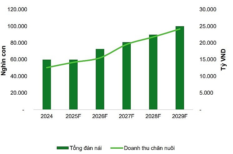 Dabaco (DBC) được dự báo thu về 1.608 tỷ đồng trong năm nay nhờ giá heo hơi duy trì đà tăng