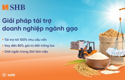 SHB ra mắt giải pháp tài trợ linh hoạt cho ngành gạo, đồng hành cùng Chính phủ phát triển nông nghiệp bền vững