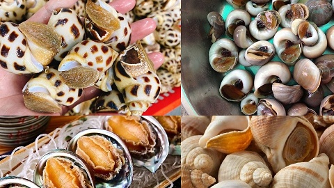 'Vàng dưới biển' Việt Nam gây sốt tại Trung Quốc: Xuất khẩu tăng dựng đứng gần 2.000%, thu về hàng chục triệu USD