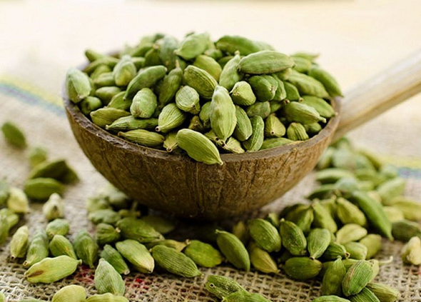 Việt Nam sở hữu loại 'nữ hoàng' gia vị đắt đỏ thứ 3 thế giới: Mỹ, Anh, Hà Lan ráo riết săn lùng
