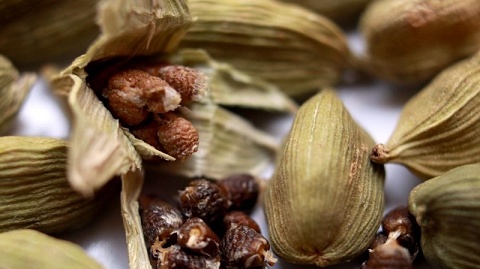 Việt Nam sở hữu loại 'nữ hoàng' gia vị đắt đỏ thứ 3 thế giới: Mỹ, Anh, Hà Lan ráo riết săn lùng