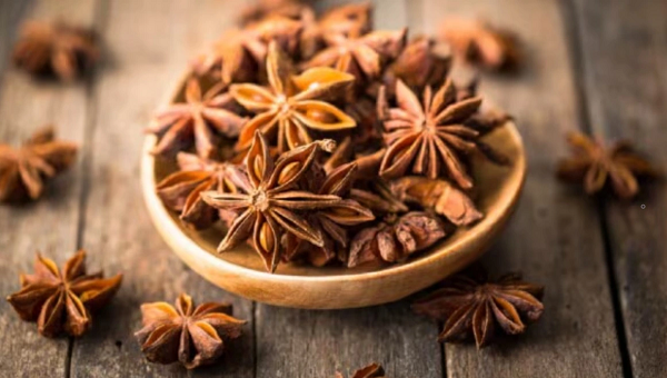Việt Nam sở hữu 'cánh hoa nghìn tỷ' cực hiếm trên thế giới: Xuất khẩu thu về gần 22 triệu USD kể từ đầu năm, Ấn Độ liên tục săn lùng