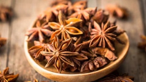 Việt Nam sở hữu 'cánh hoa nghìn tỷ' cực hiếm trên thế giới: Xuất khẩu thu về gần 22 triệu USD kể từ đầu năm, Ấn Độ liên tục săn lùng