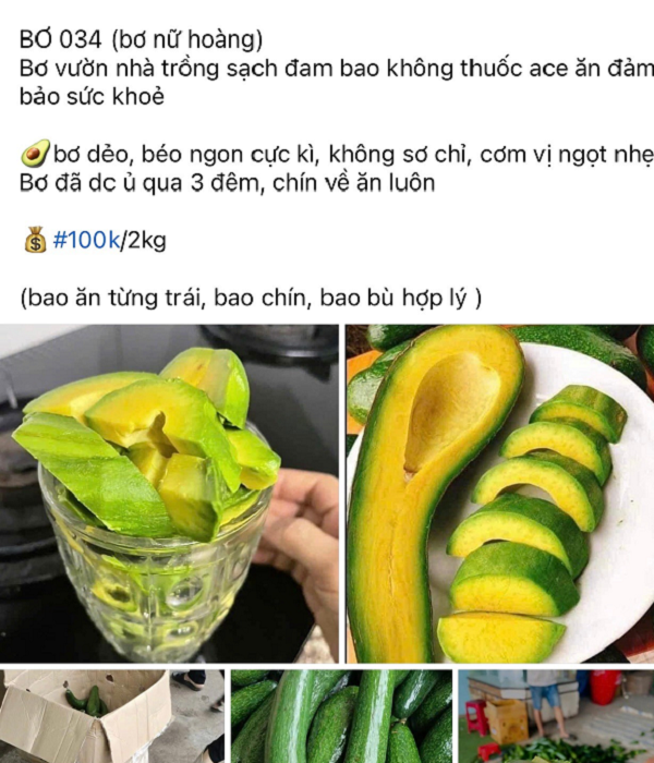 'Hoàng hậu trái cây' vào mùa: Giá tới 50.000 đồng/kg, béo ngậy, bổ dưỡng, được săn đón khắp nơi