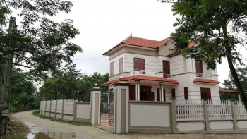 Loại cây tài lộc biến ngôi làng nghèo tại Vĩnh Phúc thành làng 'tỷ phú'