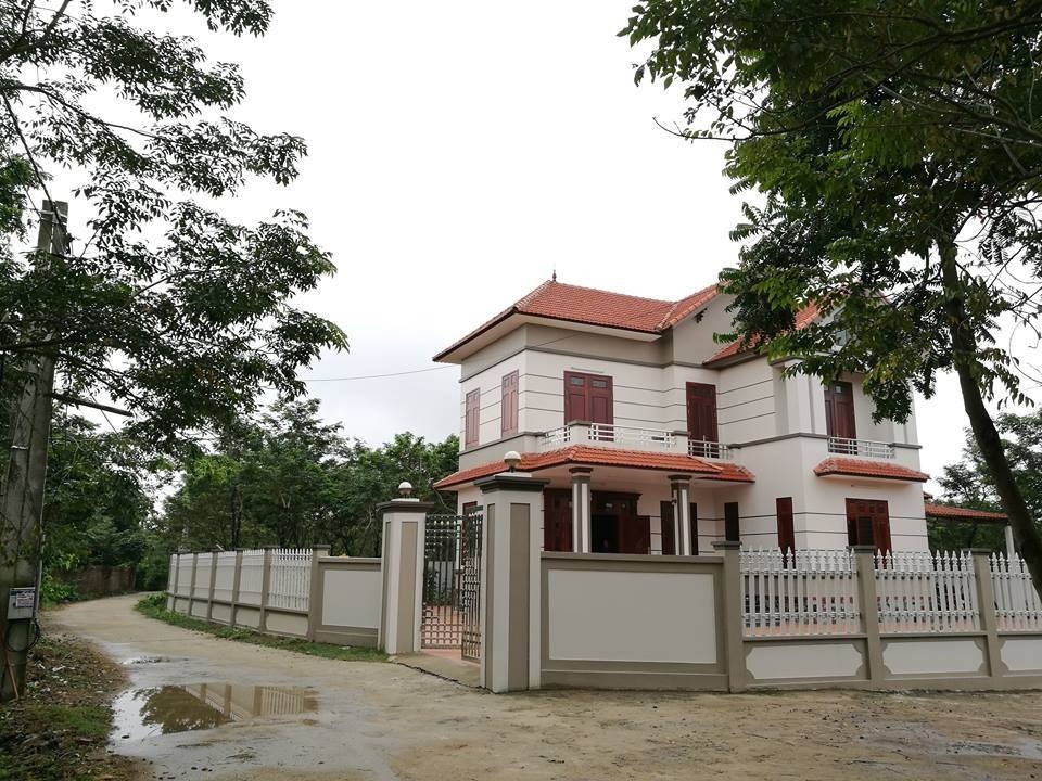 Loại cây tài lộc biến ngôi làng nghèo tại Vĩnh Phúc thành làng 'tỷ phú'