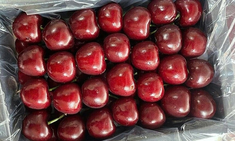 Giá 600.000 đồng/kg, một loại cherry Trung Quốc đang hạ knock-out đối thủ Mỹ - Úc