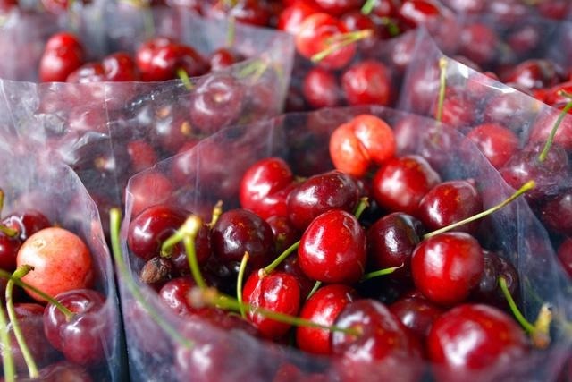 Giá 600.000 đồng/kg, một loại cherry Trung Quốc đang hạ knock-out đối thủ Mỹ - Úc