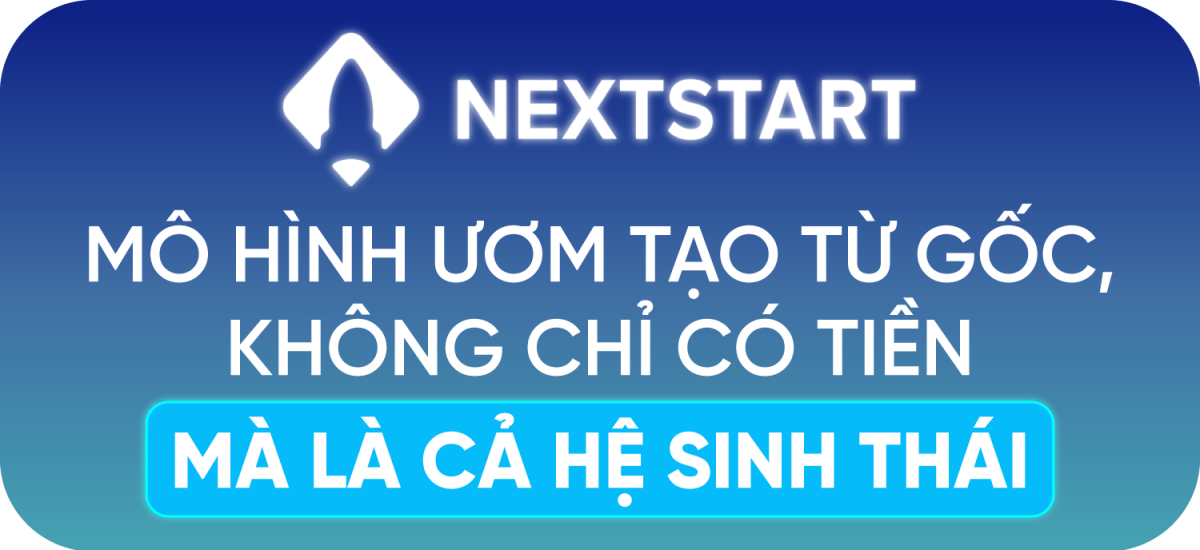 Shark Bình