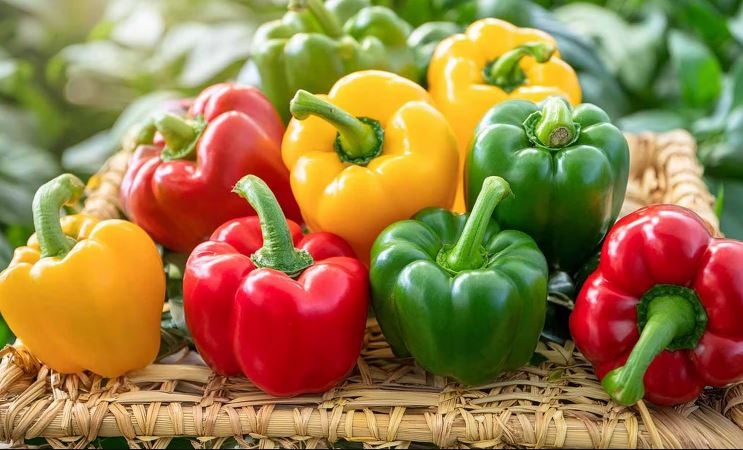 Thực phẩm nhiều màu bán đầy chợ Việt cực giàu vitamin C, trở thành  thành 'siêu thực phẩm' hot nhất đầu mùa hè