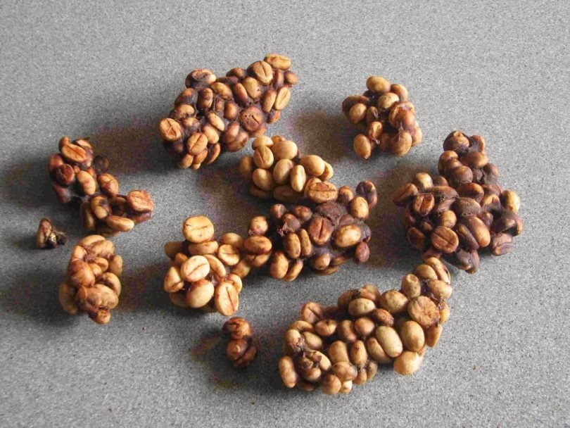 Chuyện thật như đùa: Cà phê đắt ngang vàng, làm từ phân chim giá 40 triệu đồng/kg
