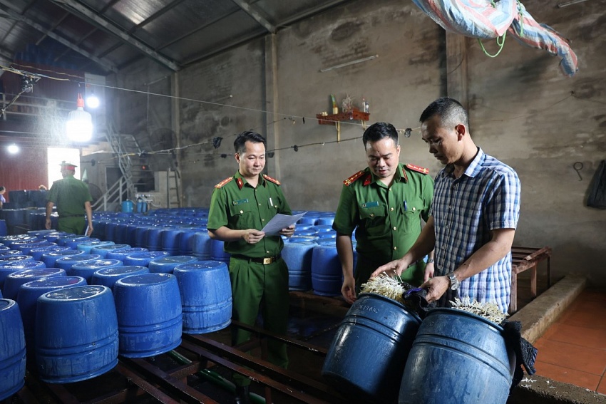 Mỗi ngày sản xuất 500kg giá đỗ ngâm chất cấm, một cá nhân bị Công an khởi tố