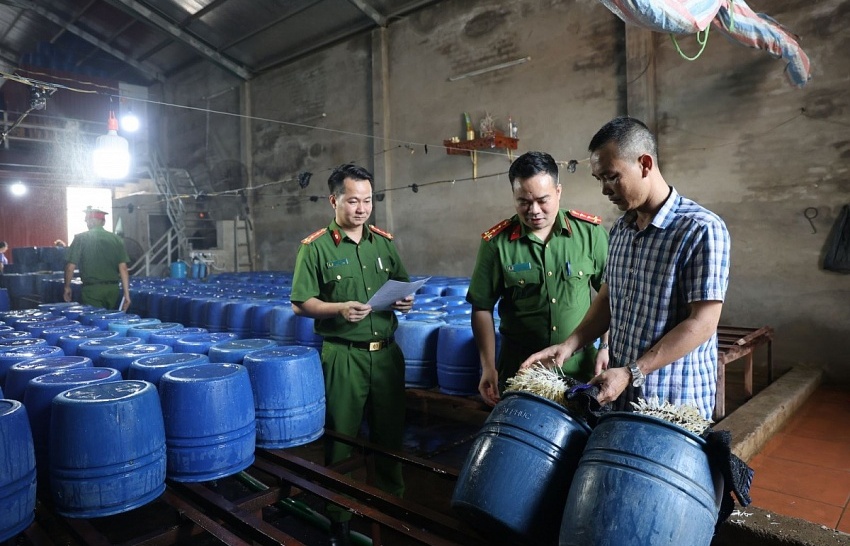 Mỗi ngày sản xuất 500kg giá đỗ ngâm chất cấm, một cá nhân bị Công an khởi tố