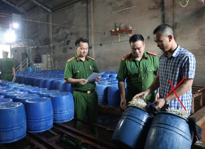 Bắc Giang: Khởi tố chủ cơ sở sản xuất 60 tấn giá đỗ dùng 6-Benzylaminopurine kích thích tăng trưởng
