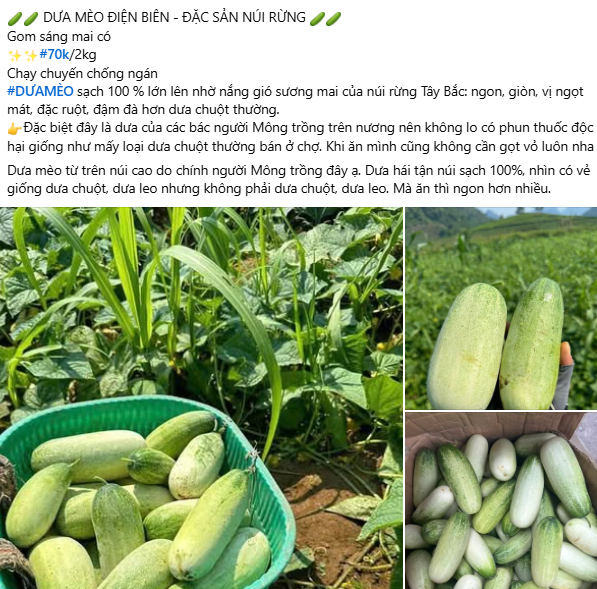 Loại quả có tên rất lạ xưa ít ai để ý, nay thành đặc sản hút khách phố thị, giá 40.000 đồng/kg