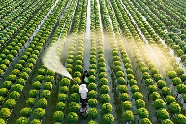 Top 3 ngành học 'được săn đón': Ra trường dễ có việc, thu nhập cao, ít cạnh tranh