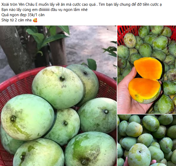 Đặc sản vùng cao một thời bị bỏ quên, nay thành 'hàng hot' ở phố thị: Giá mềm, hương vị đặc biệt
