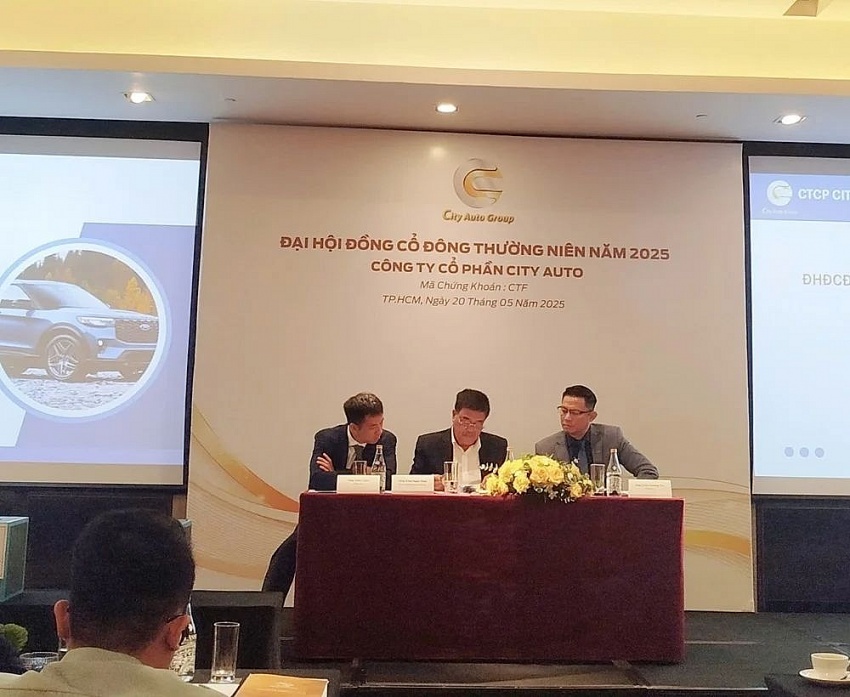 Lợi nhuận quý I/2025 giảm hơn 60%, công ty chuyên phân phối Ford, Hyundai, Volkswagen bán thêm xe VinFast