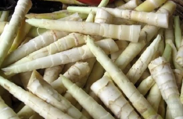 Đặc sản Tây Nguyên xưa không ai biết, giờ nổi tiếng khắp nơi nhờ hương vị lạ: Giá cao ngất, khách sành ăn săn lùng