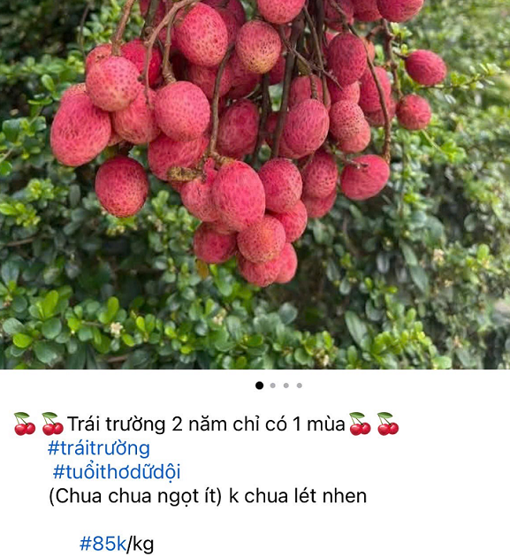 Loại quả từng bị ngó lơ nay 'lên đời' thành đặc sản dân phố mê mẩn vì hương vị lạ, giá tới 85.000 đồng/ kg