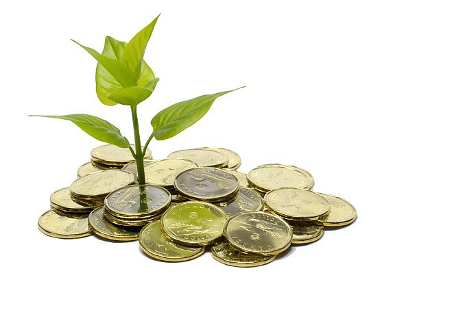 12 doanh nghiệp sắp chốt quyền trả cổ tức bằng tiền, cao nhất 88%